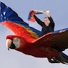 Автор