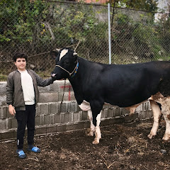 Hayvanlar Alemi Ve Tuna Reis 
