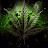 @clutchdonovan420
