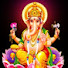 cwYfNtRwOWU-channel-avatar-वृश्चिक दिव्य ज्योतिष
