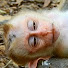 NoiWeuz-Zjk-channel-avatar-Monkey Library