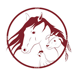 Tenerife Horse Rescue Sustainable Animal Sanctuary Avatar