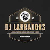 DJ Labradors 
