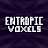 EntropicVoxels