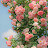 @Me_s2-ii