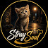 u5cGfxCwnOM-channel-avatar-Stray Soul