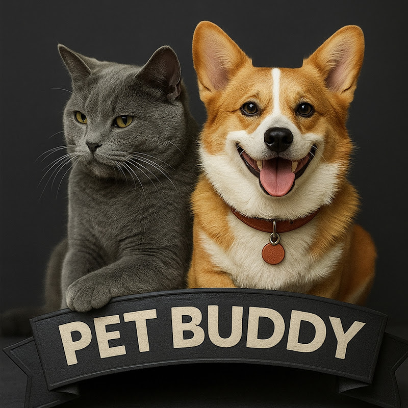 Pet Buddy