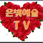 은빛예술 TV(대중음악 전문채널) channel logo