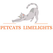 PetCats In Limelights