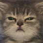 cat.404 Avatar