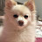 @아기고래-p7l