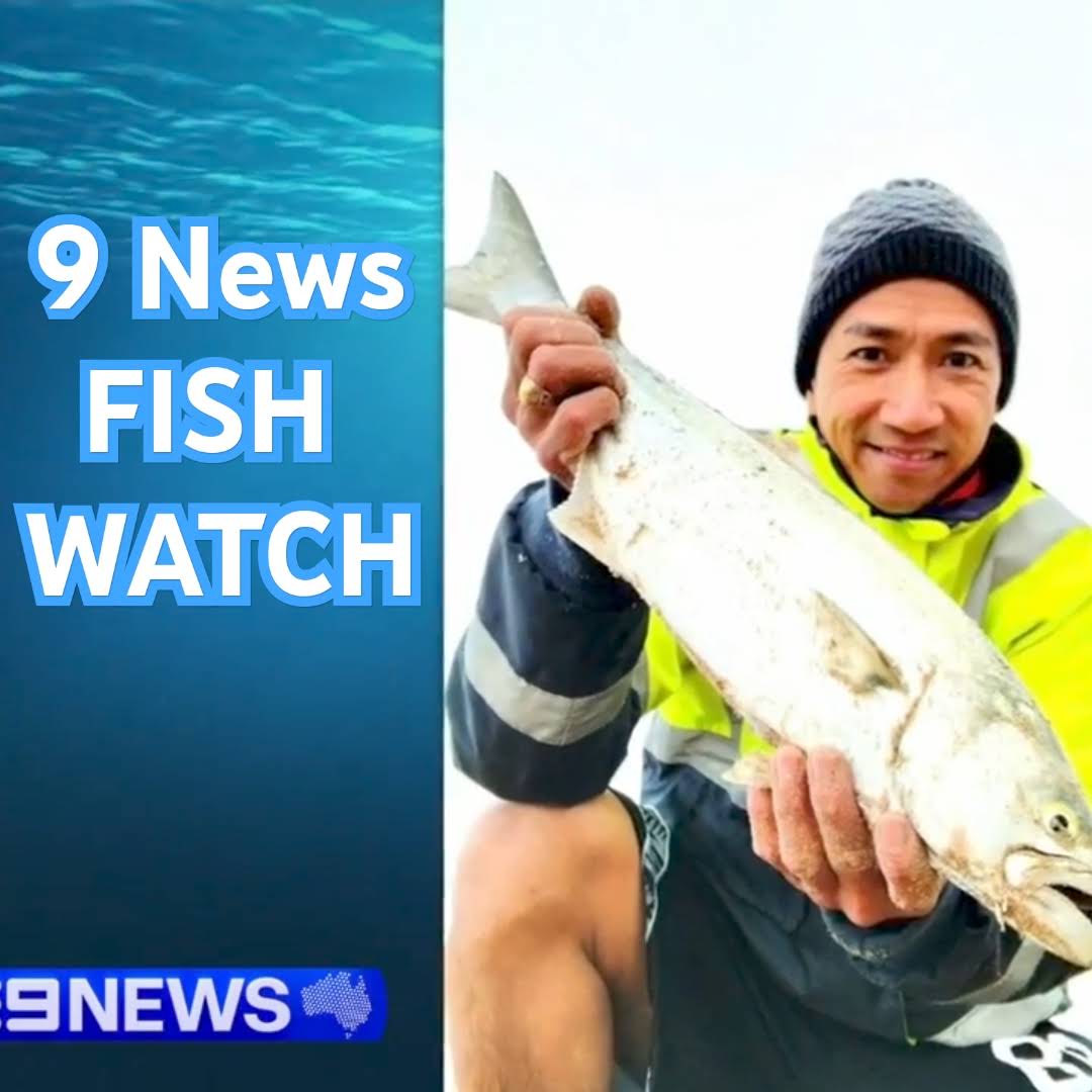 Post from Fish With Chris