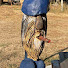 2MT8a_ZwJzw-channel-avatar-Smoking Gnome BBQ