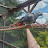 @Chris_Gordon_1973 Avatar