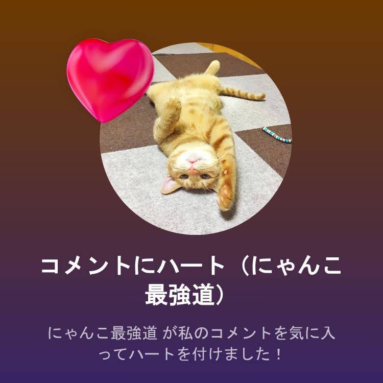にゃんこさん❤️ YouTube
