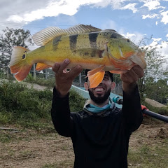 Bass Catcher pr