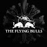 nTKCFHzsc3c-channel-avatar-The Flying Bulls