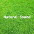 peMjxKyxk3M-channel-avatar-Natural Sound