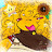 @SerinityKoopa