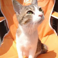 まがたまチャンネルアイコン画像