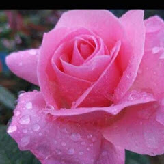 M-RUHAN Media