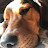 @kmulhall8233 Avatar