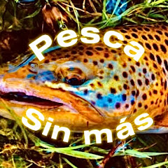 Pesca sin más