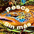 hSbesWft0_Q-channel-avatar-Pesca sin más 
