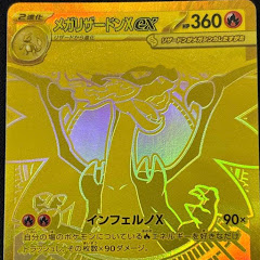 開封して行くぜぃ〜チャッピーのポケモンマイスターへの道〜