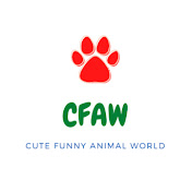 Cute Funny Animal World