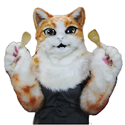 Cooking Cat Lykke