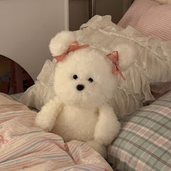 サモエドネキのお部屋