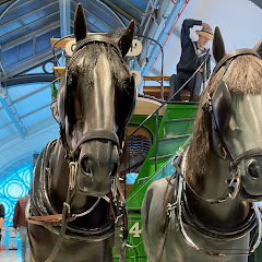 劇好看アイコン画像