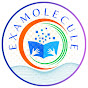Examolecule | Free Competitive Learning logo