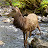 Isle of Skye Nature and Scenery