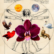 Whimsy Pearl Tarot