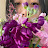 @금똥이-r5q