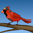 McttwR5nMgM-channel-avatar-swoopisbird