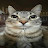 @timmy2toes-m7x