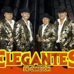 Elegantes de Obregon official