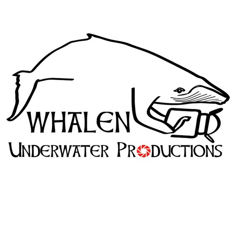 Whalen Underwater