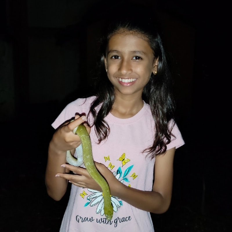 Hire Sarpmitra_harshadalohire — Wildlife & Nature Documentaries (Animals) YouTube creator for sponsorships