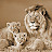 @Retrofordguy Avatar