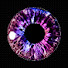 BXO1hd3wxnY-channel-avatar-We Are Observers