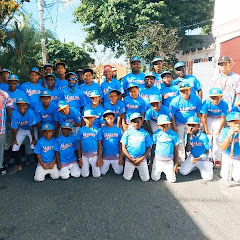 Marlins de rey
