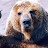 @BearMooNDA