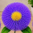 YW6Uf1RotQ8-channel-avatar-Craft & Ribbon Art