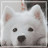 @행복이퐁퐁-p5s