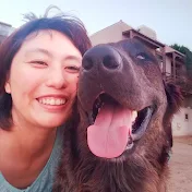 アラレ王☆人生記録