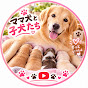 Mama Inu to Koinu-tachi